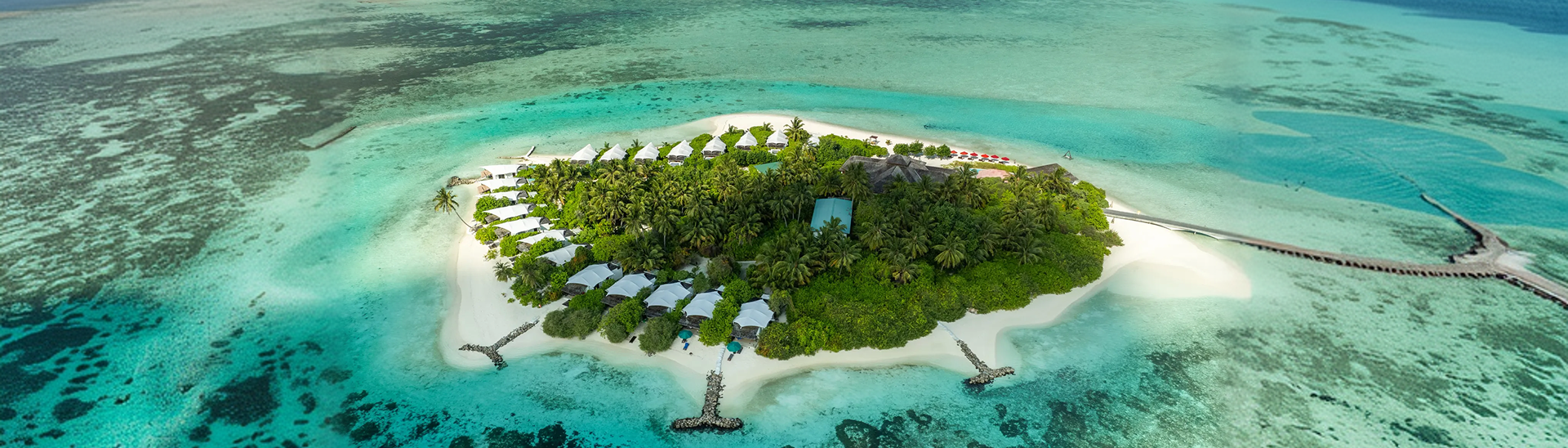 Cinnamon Hakura Huraa