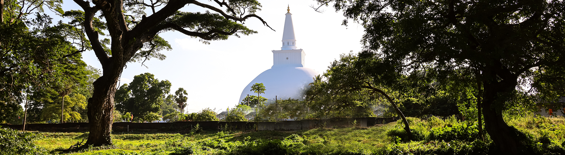 Sri Lanka Cultural Tour
