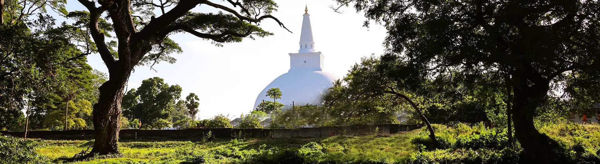 Sri Lanka Cultural Tour
