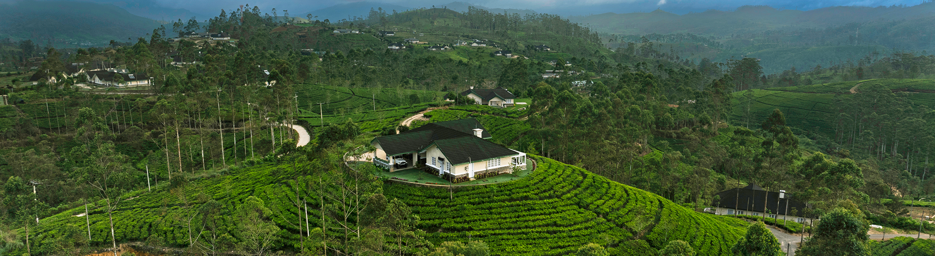 Aadya Tea Bungalows