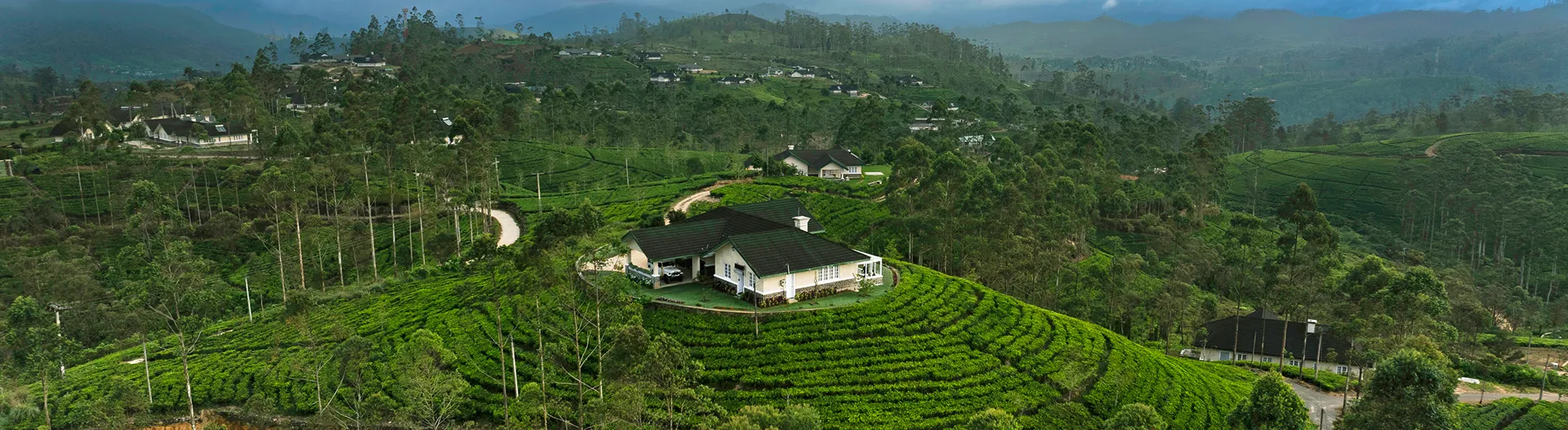 Aadya Tea Bungalows