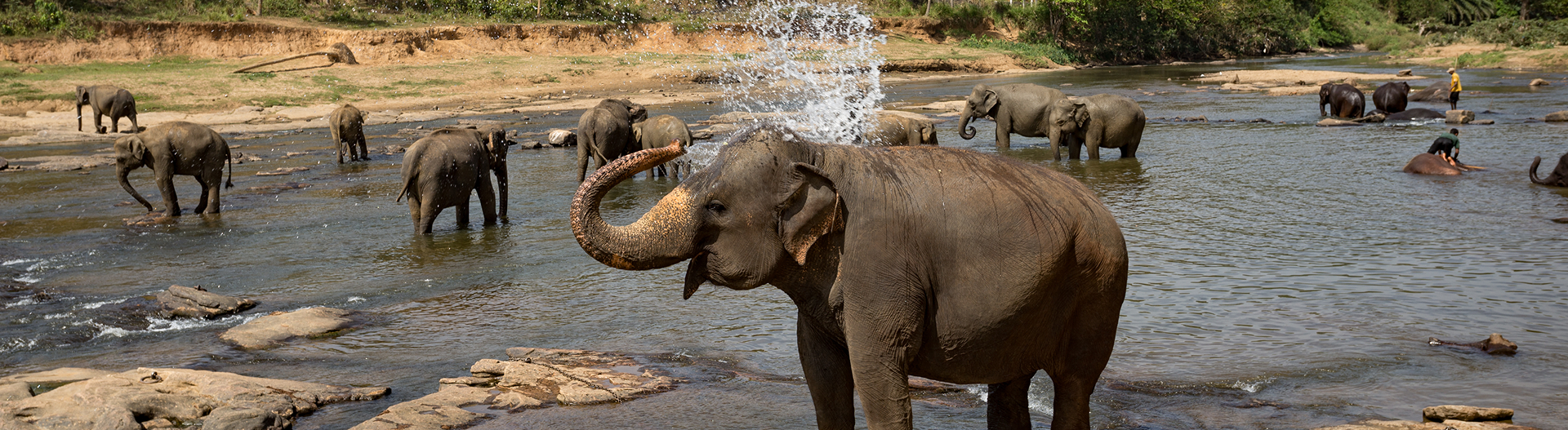 Sri Lanka with Elephant Sanctuary