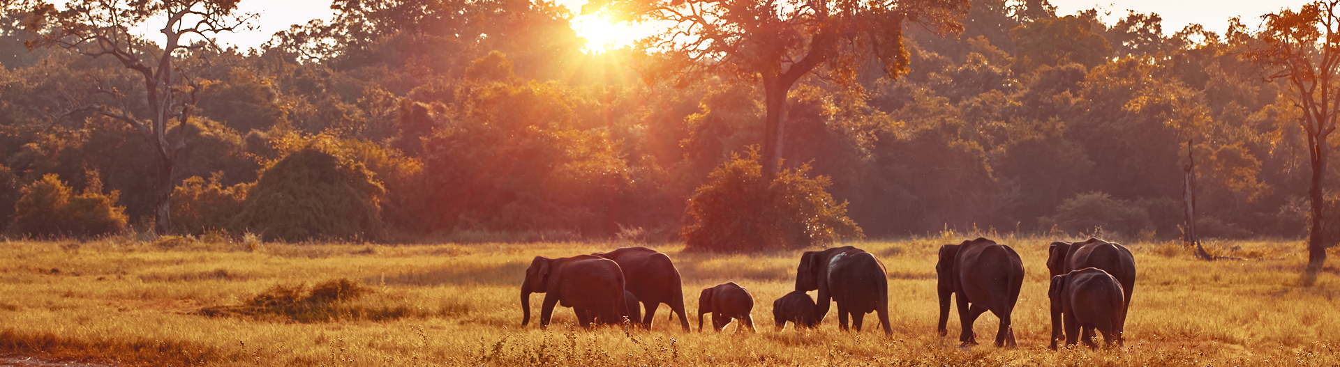 Big Five